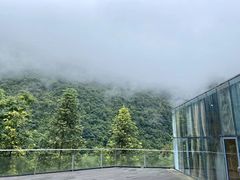 -南山植物园