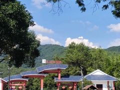 -九龙江国家森林公园