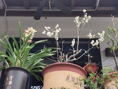 -十八棵（老龙井）御茶园(老龙井店)