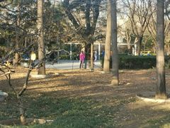 -玲珑塔公园