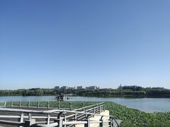 -大兴滨河森林公园