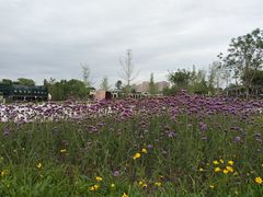 -白鹭湾湿地公园