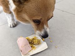 -好利来(团结湖店)