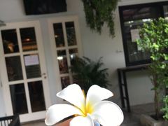 -TrueLove @ Neverland (Husky Cafe)