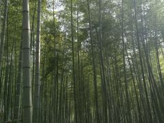 -陶祖圣境风景区