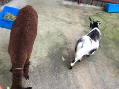 -太极禅苑