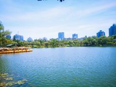 -月湖公园