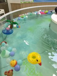 -鳄鱼泡泡游泳馆(新DNA购物中心店)