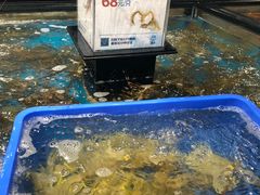 -盒马鲜生(曜一城店)