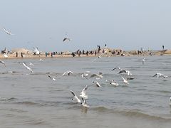 -老虎石海上公园