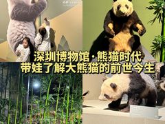 -深圳博物馆历史民俗馆
