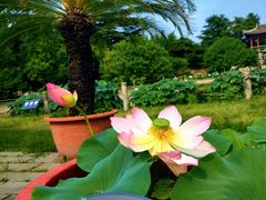 -国家植物园南园