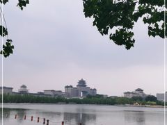 -莲花池公园