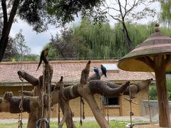 -石家庄市动物园