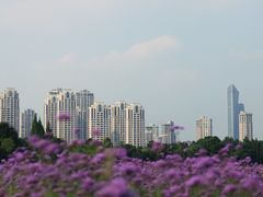 -山明水秀大饭店