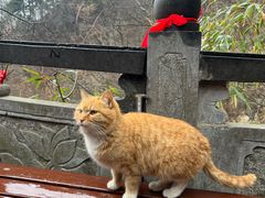 -终南山南五台景区