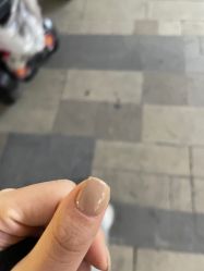 -OAE日式皮肤管理お肌の