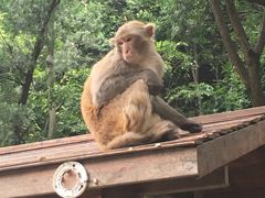 -黔灵山公园-南门售票处