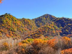 -北京龙庆四季香农家饭庄·灶台鱼·碳烤虹鳟鱼(龙庆峡店)