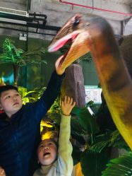 -恐龙探索乐园(磁器口店)