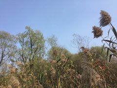 -西湖风景区-江洋畈生态公园
