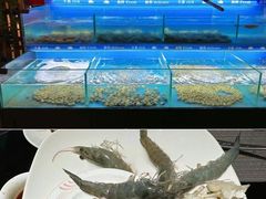 -太湖饭店玉兰厅(自助餐厅)