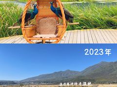 -腾冲北海湿地