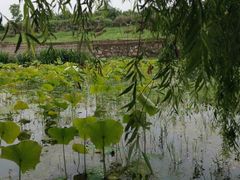 -贵阳蓬莱仙界