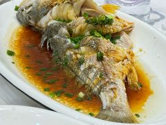 海鱼-金海湾海鲜排档(朱家尖店)