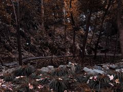 -灵隐飞来峰景区