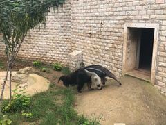 -石家庄市动物园