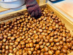 -阿男野栗王(金门路店)