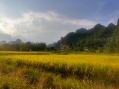 -明仕田园