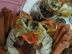 -喜洋洋蟹庄(阳澄湖店)