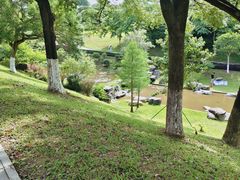 -东莞植物园