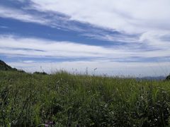 -白草畔自然风景区