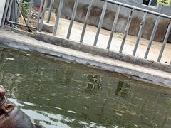 -保定市动物园