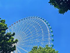 -凤岭儿童公园