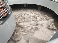 -自贡恐龙博物馆