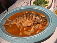 -阿五黄河大鲤鱼(英协路店)
