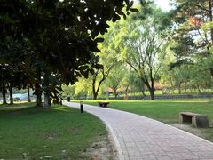 -中央公园(苏州工业园区)