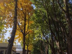 -哟吼艺术餐厅·亲子·生日宴
