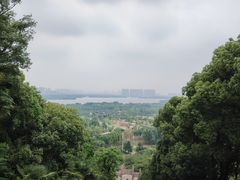 -苏州上方山国家森林公园