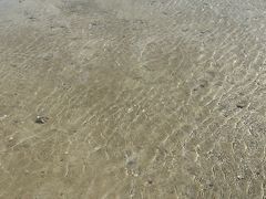 -北海金海湾红树林生态旅游区