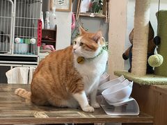 -小时光咖啡馆(北锣鼓巷店)