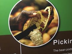 -歌斐颂巧克力小镇