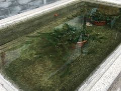 -联邦酒楼