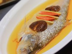 -望乡楼上海菜(日月光店)