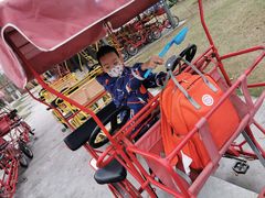 -上海长兴岛郊野公园