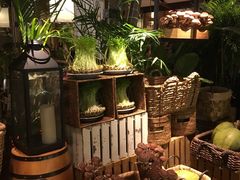 -大头椰·椰子鸡火锅(南宁万象城店)